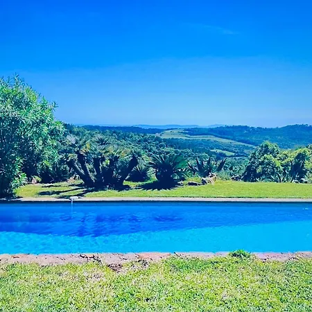Architect Designed House Pool Tastefully